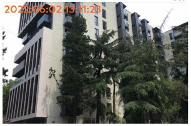 uploads_script/products_auction/thumb_7z582n0n6lwodxy.jpg